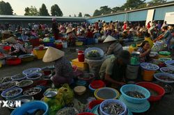 N&eacute;t qu&ecirc; mộc mạc ở chợ phường Vị Thanh giữa l&ograve;ng th&agrave;nh phố Cần Thơ