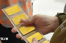 Giá vàng trong nước tăng nhẹ, SJC lên ngưỡng 141 triệu đồng mỗi lượng