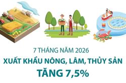 7 th&aacute;ng của năm 2026, xuất khẩu n&ocirc;ng, l&acirc;m, thủy sản tăng 7,5%