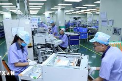 Dòng vốn FDI vào Quảng Ninh chuyển dịch tích cực về chất lượng