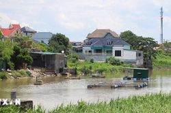Nghệ An: Sớm xử lý lấn chiếm luồng tuyến Khu neo đậu tránh trú bão Lạch Vạn