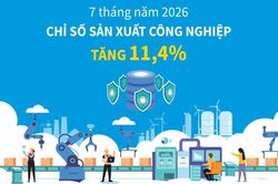 7 tháng năm 2026: Chỉ số sản xuất công nghiệp tăng 11,4%