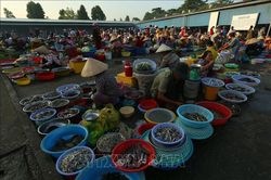 Nét quê ở chợ phường Vị Thanh (Cần Thơ)