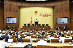 Quốc hội nghe trình bày Tờ trình, báo cáo thẩm tra về các dự án luật