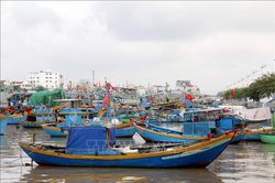 Lâm Đồng khẩn cấp kích hoạt phương án ứng phó áp thấp nhiệt đới