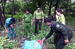 Thả kỳ đà hoa về rừng đặc dụng vườn chim Bạc Liêu