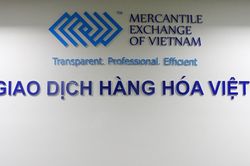 Điều kiện, thủ tục thành lập Sở giao dịch hàng hóa