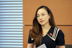 ĐBQH: Cấm sử dụng hòa giải với vụ việc bạo lực gia đình, xâm hại trẻ em