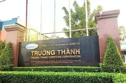 Gỗ Trường Thành TTF lỗ nặng