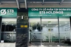 ST8 bị phạt 125 triệu đồng vì công bố sai lợi nhuận