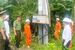 Cần Thơ bắt giữ nhiều đối tượng trộm cắp vật tư, thiết bị lưới điện