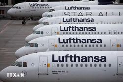 Lợi nhuận của Lufthansa lao dốc vì chi phí nhiên liệu và đình công