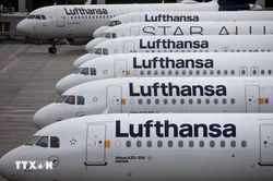 Lợi nhuận của Lufthansa lao dốc v&igrave; chi ph&iacute; nhi&ecirc;n liệu v&agrave; đ&igrave;nh c&ocirc;ng