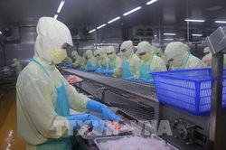 Xuất khẩu thủy sản duy trì đà tăng nhưng thách thức đã hiện rõ