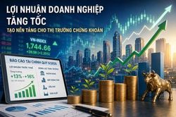 Lợi nhuận doanh nghiệp tăng tạo nền tảng cho thị trường chứng khoán