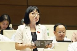 Kỳ họp không thường lệ thứ Nhất, Quốc hội khóa XVI: Không tạo khoảng trống pháp lý khi cắt giảm các ngành, nghề đầu tư kinh doanh có điều kiện