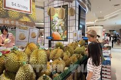 Doanh thu bán lẻ tại Hong Kong (Trung Quốc) duy trì đà tăng 14 tháng liên tiếp