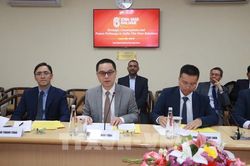 Việt Nam - Ấn Độ thúc đẩy hiện thực hóa Đối tác Chiến lược Toàn diện Tăng cường
