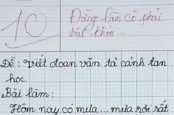 Bài văn được chấm điểm tối đa, nội dung có gì mà giáo viên phải viết 'đừng làm cô phải khóc'