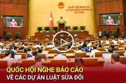 Quốc hội nghe báo cáo về các dự án Luật sửa đổi