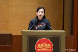 Cần kiểm soát chặt chẽ thiết kế đô thị với dự án bất động sản quy mô lớn