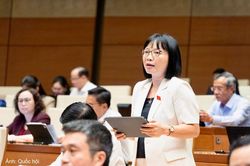 Đại biểu đồng tình xử lý khẩn trương việc lạm dụng khí N2O