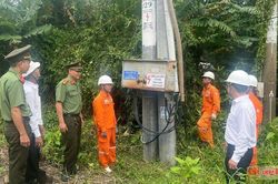 Điện lực Cần Thơ cảnh báo tình trạng trộm cắp vật tư, thiết bị điện