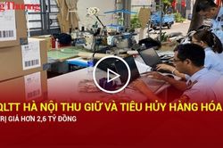 Quản lý thị trường Hà Nội thu giữ và tiêu hủy hàng hóa trị giá hơn 2,6 tỷ đồng