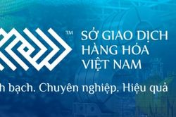 Điều kiện thành lập Sở giao dịch hàng hóa từ ngày 15/9/2026
