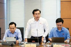 Cần quy định cụ thể hơn việc bảo vệ quyền trong môi trường AI
