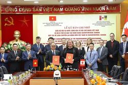 Cơ hội sang Canada làm việc cho lao động Việt với chi phí thấp