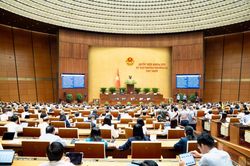 Đại biểu Quốc hội đề nghị không để 'khoảng trống pháp lý' khi cắt giảm điều kiện kinh doanh