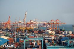 5 trọng tâm đổi mới xúc tiến thương mại Việt - Hàn hướng tới kết quả thực chất