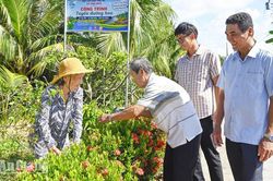 D&acirc;n đồng thuận, ấp C&aacute;i Nứa đổi thay