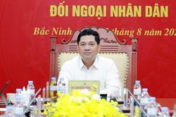 Bí thư Tỉnh ủy Nguyễn Hồng Thái dự Hội nghị về đối ngoại Đảng, đối ngoại nhân dân