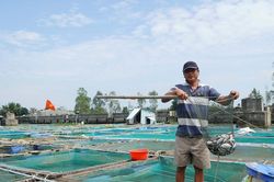 Khai thác, nuôi trồng thủy sản đạt kết quả tích cực