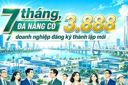 7 th&aacute;ng, Đ&agrave; Nẵng c&oacute; 3.888 doanh nghiệp đăng k&yacute; th&agrave;nh lập mới