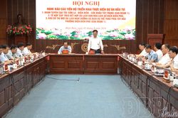 Tập trung đẩy nhanh tiến độ triển khai 3 dự án trọng điểm của tỉnh