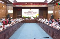 Bảo đảm tiến độ triển khai 3 dự án trọng điểm của tỉnh