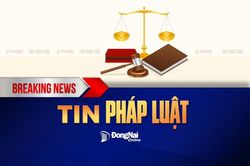 Nói không với mua bán, sử dụng giấy tờ giả