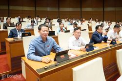 Cắt giảm điều kiện kinh doanh phải thực chất, kh&ocirc;ng tạo khoảng trống trong quản l&yacute;