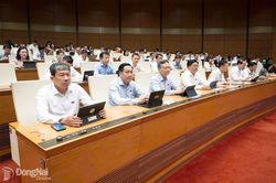 Cần có chính sách tạo cơ hội cho lao động phổ thông rèn luyện kỹ năng, tiếp cận công nghệ và ngoại ngữ