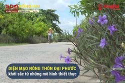 [Video] Diện mạo nông thôn Đại Phước khởi sắc từ những mô hình thiết thực