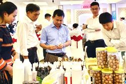 Th&aacute;o gỡ r&agrave;o cản h&agrave;nh ch&iacute;nh, tạo xung lực mới cho doanh nghiệp
