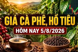 Giá cà phê hôm nay 5/8 giảm nhẹ, hồ tiêu đi ngang