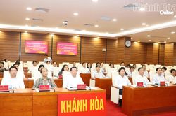 Phiên họp toàn thể về đối ngoại Đảng và đối ngoại Nhân dân