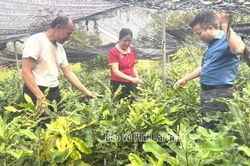 Học B&aacute;c từ những việc l&agrave;m thiết thực