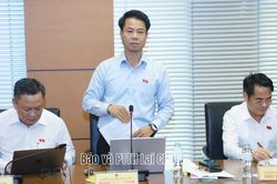 ĐBQH tỉnh Lai Ch&acirc;u tham gia 2 dự &aacute;n luật: H&ograve;a giải ở cơ sở (sửa đổi) v&agrave; Luật Sửa đổi, bổ sung một số điều của Luật Xuất bản