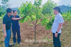 Pắc Ta n&acirc;ng cao chất lượng x&acirc;y dựng tổ chức đảng v&agrave; đội ngũ c&aacute;n bộ