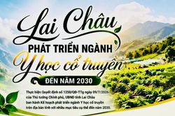Lai Châu triển khai phát triển ngành Y học cổ truyền đến năm 2030
